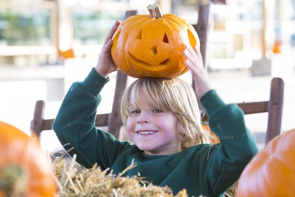 Halloween | Strandpark Duynhille