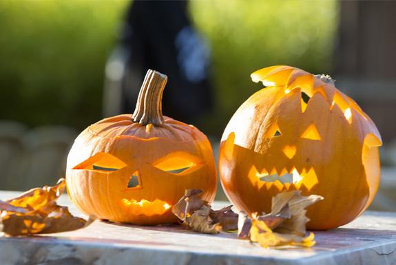 Halloween - Aanbieding | Strandpark